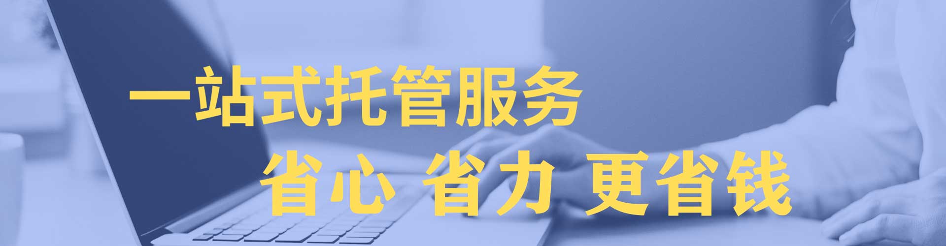 丽水竞价托管
